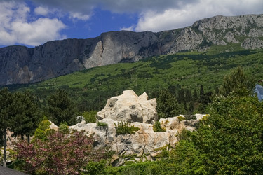 Similar image 21973534