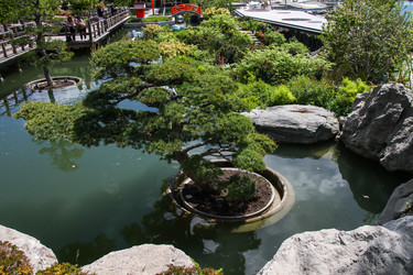 Similar image 21973540