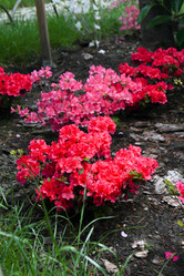 Similar image 21973542