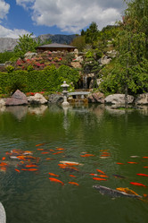 Similar image 21973546