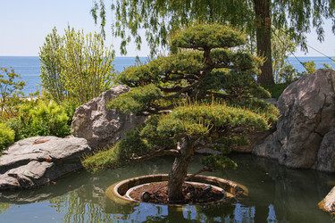 Similar image 21973548