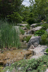 Similar image 21973554