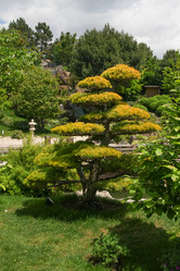 Similar image 21973556