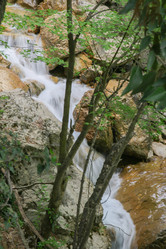 Similar image 21973574