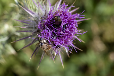 Similar image 21973349