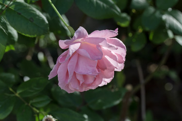 Similar image 21973350