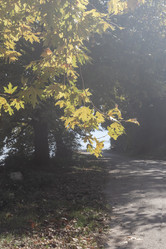 Similar image 21973352