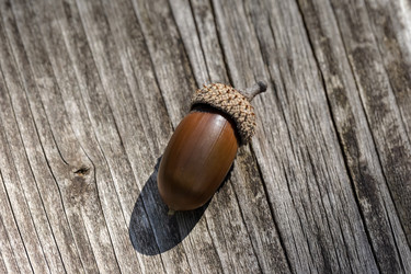 Similar image 21974881