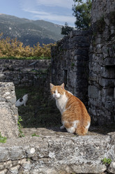 Similar image 21974882