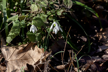 Similar image 21974884