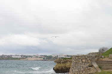 Similar image 21974893