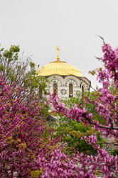 Similar image 21974896