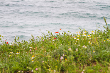 Similar image 21974899