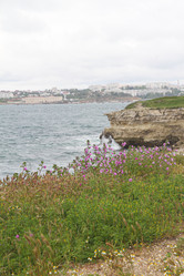 Similar image 21974901