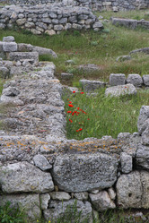 Similar image 21974903