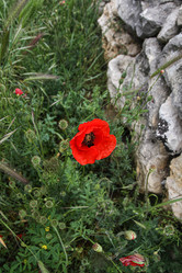 Similar image 21974904