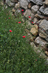 Similar image 21974905