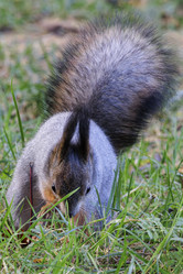 Similar image 21974845