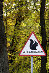 Similar image 21974527