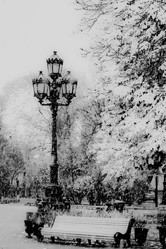 Similar image 21974528