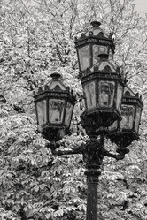 Similar image 21974529