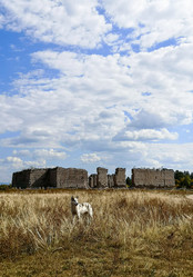 Similar image 21974530