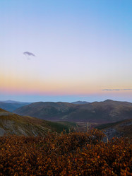 Similar image 21974532