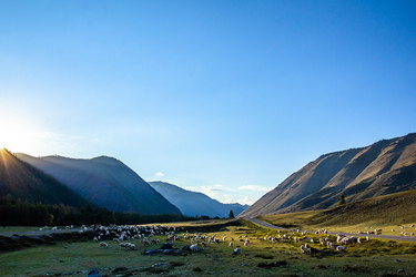 Similar image 21974541