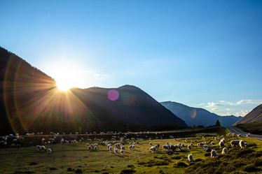 Similar image 21974542