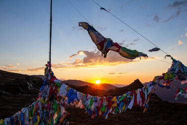 Similar image 21974545