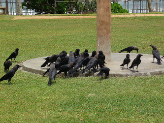 Similar image 21974916