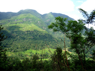 Similar image 21974918