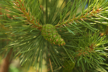 Similar image 21974923