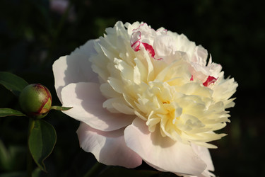 Similar image 21974926