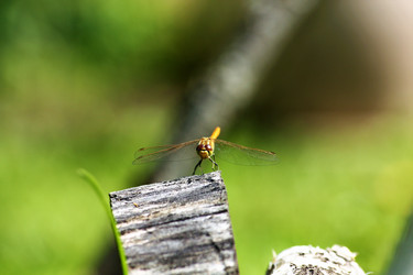 Similar image 21974929