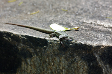 Similar image 21974930