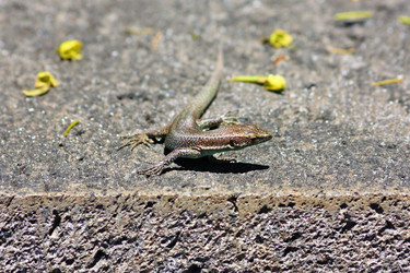 Similar image 21974932