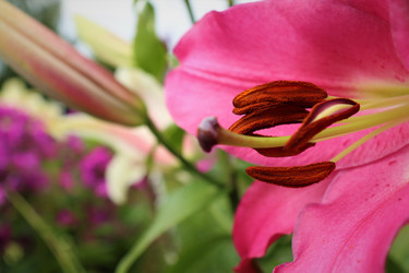 Similar image 21974935