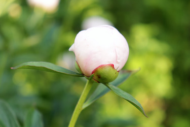 Similar image 21975141