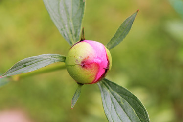 Similar image 21975148