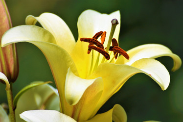 Similar image 21975152