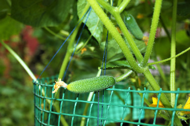 Similar image 21975157