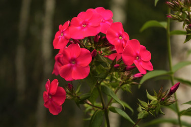 Similar image 21975161