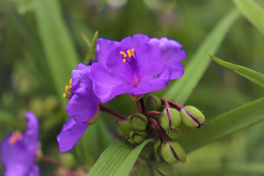 Similar image 21975165