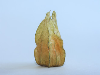 Similar image 21974585