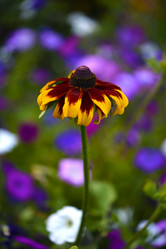 Similar image 21974588