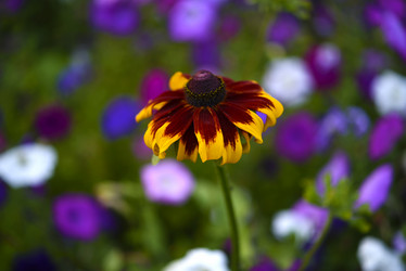 Similar image 21974590