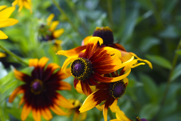 Similar image 21974591