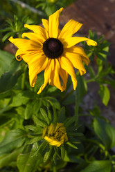 Similar image 21974593