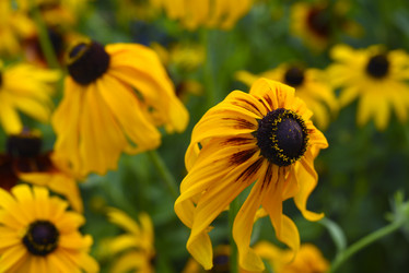 Similar image 21974595